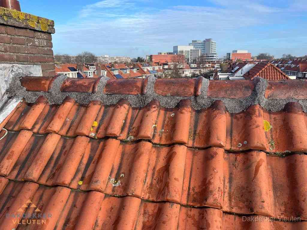 Nieuw bitumen plat dak met uitzicht over woonwijk in Vleuten Nieuw bitumen plat dak met uitzicht over woonwijk in Vleuten