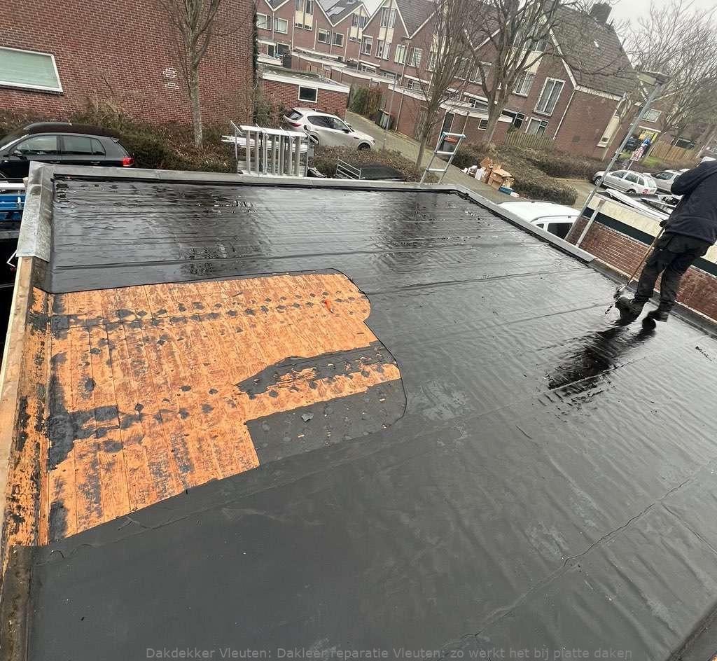 Dakleer Reparatie Vleuten