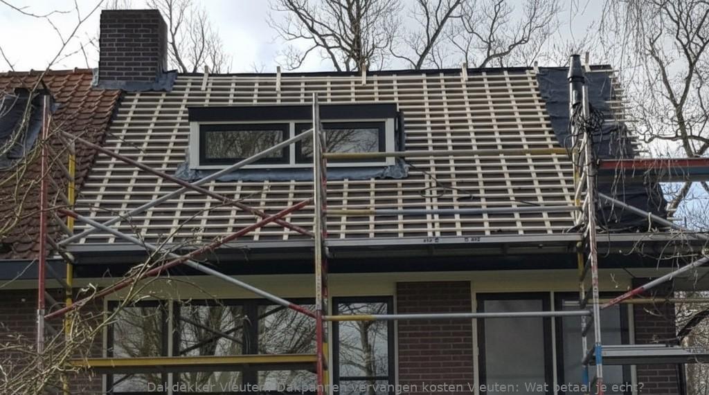 Dakpannen Vervangen Kosten Vleuten